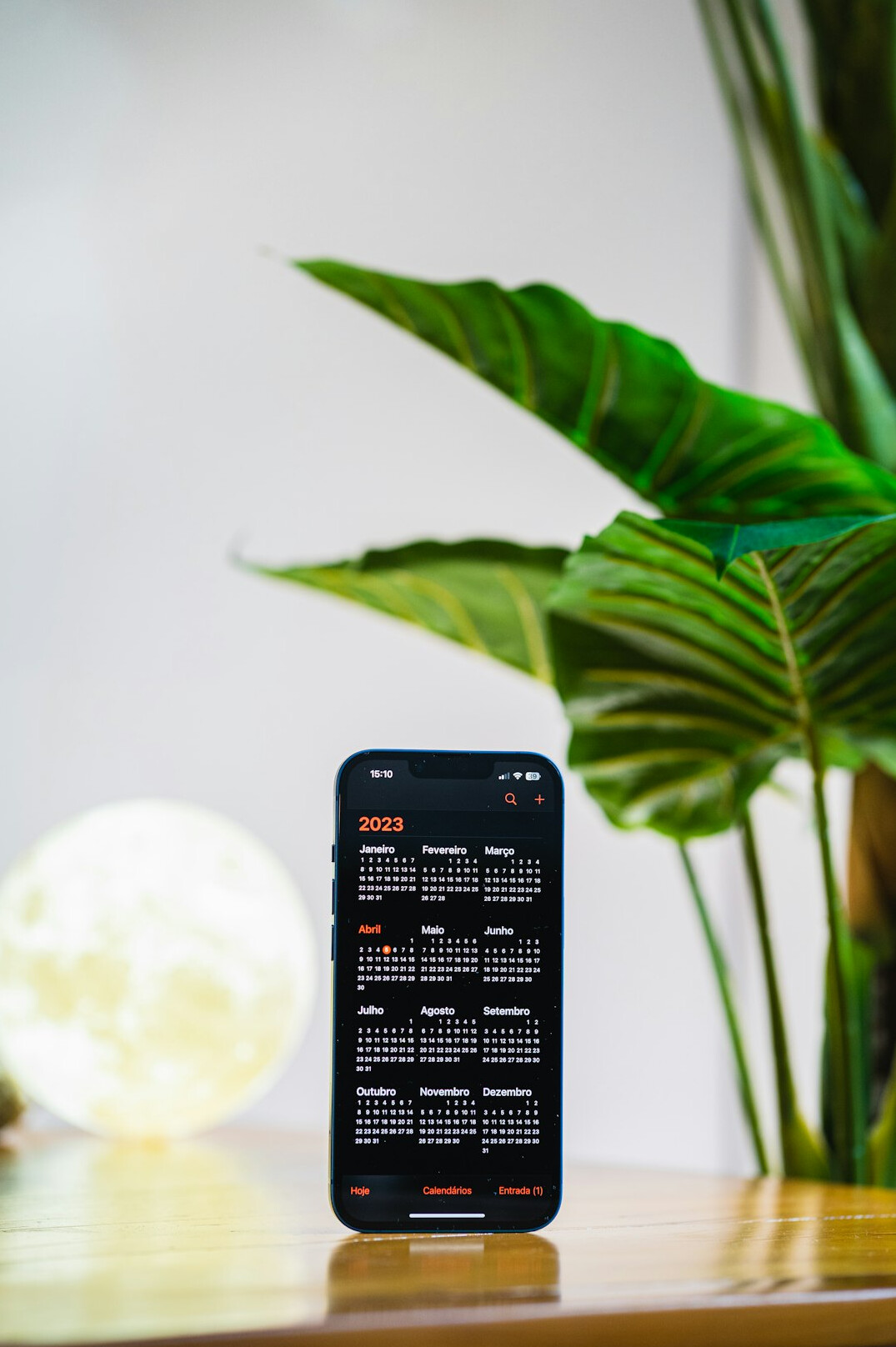 Calendar, calculator and small plant on a desk symbolizing calm financial planning