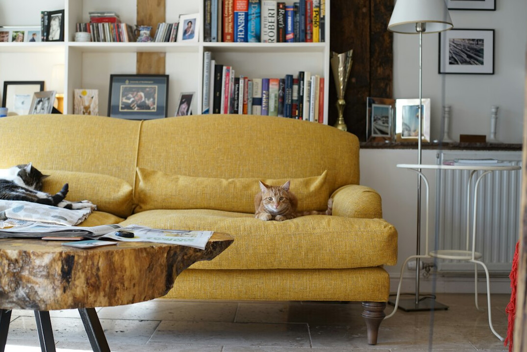Woman in her fifties reviewing a notebook on a sofa in a comfortable living room